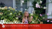 Viena-Knoss