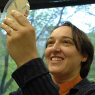 Angelika Amon, PhD