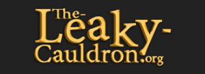 Leaky Cauldron