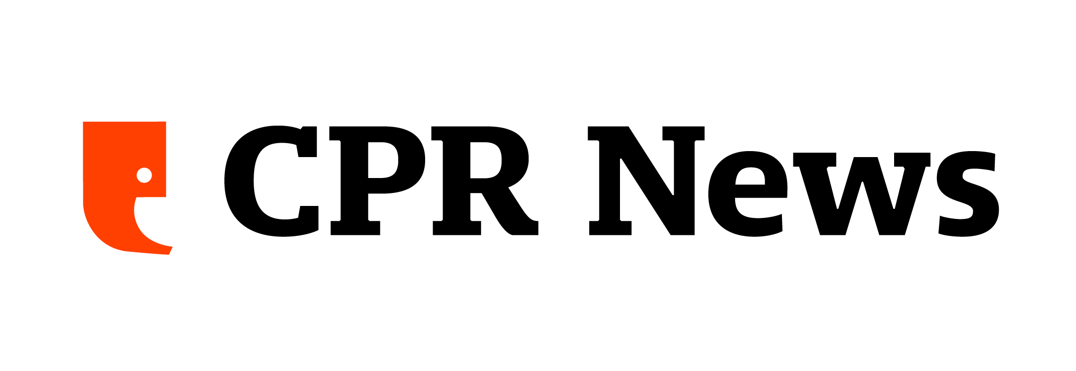 News Feed Logo